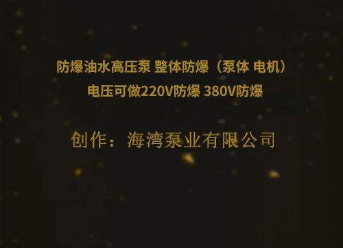 防爆油水高壓泵 整體防爆（泵體 電機）電壓可做220V防爆 380V防爆